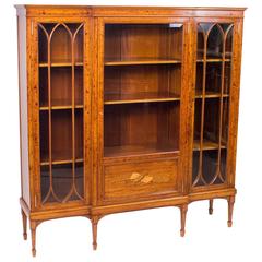 19th Century Victorian Satinwood and Marquetry Display Cabinet