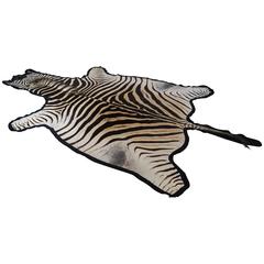 Large and Graphic New Burchell's Zebra Skin Hide in Black, Cream and Sand