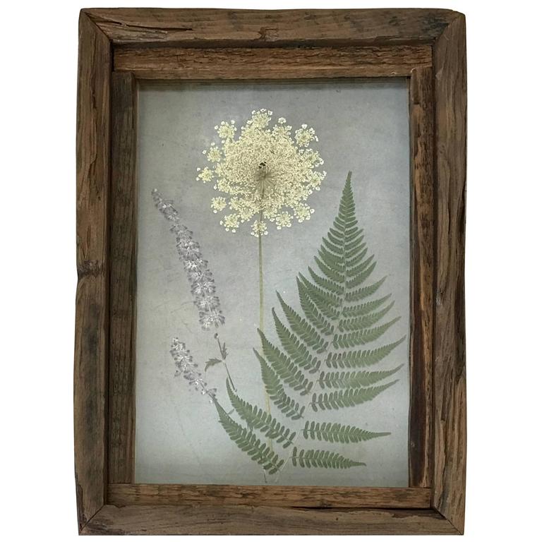 Pressed Flower Shadowbox by Alleywood Studios at 1stDibs