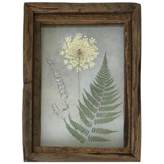 Pressed Flower Shadowbox by Alleywood Studios