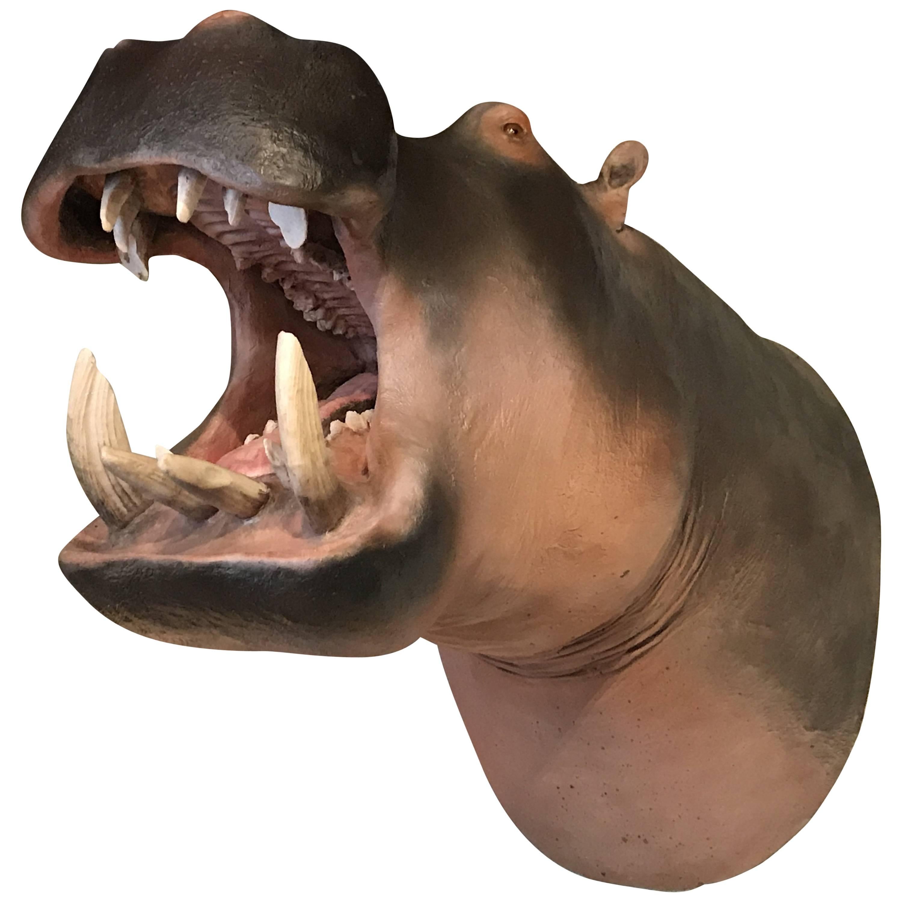 Lifelike Replica of a Hippopotamus For Sale