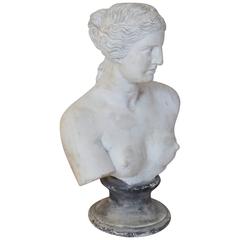 20th Century Venus Plaster Bust 