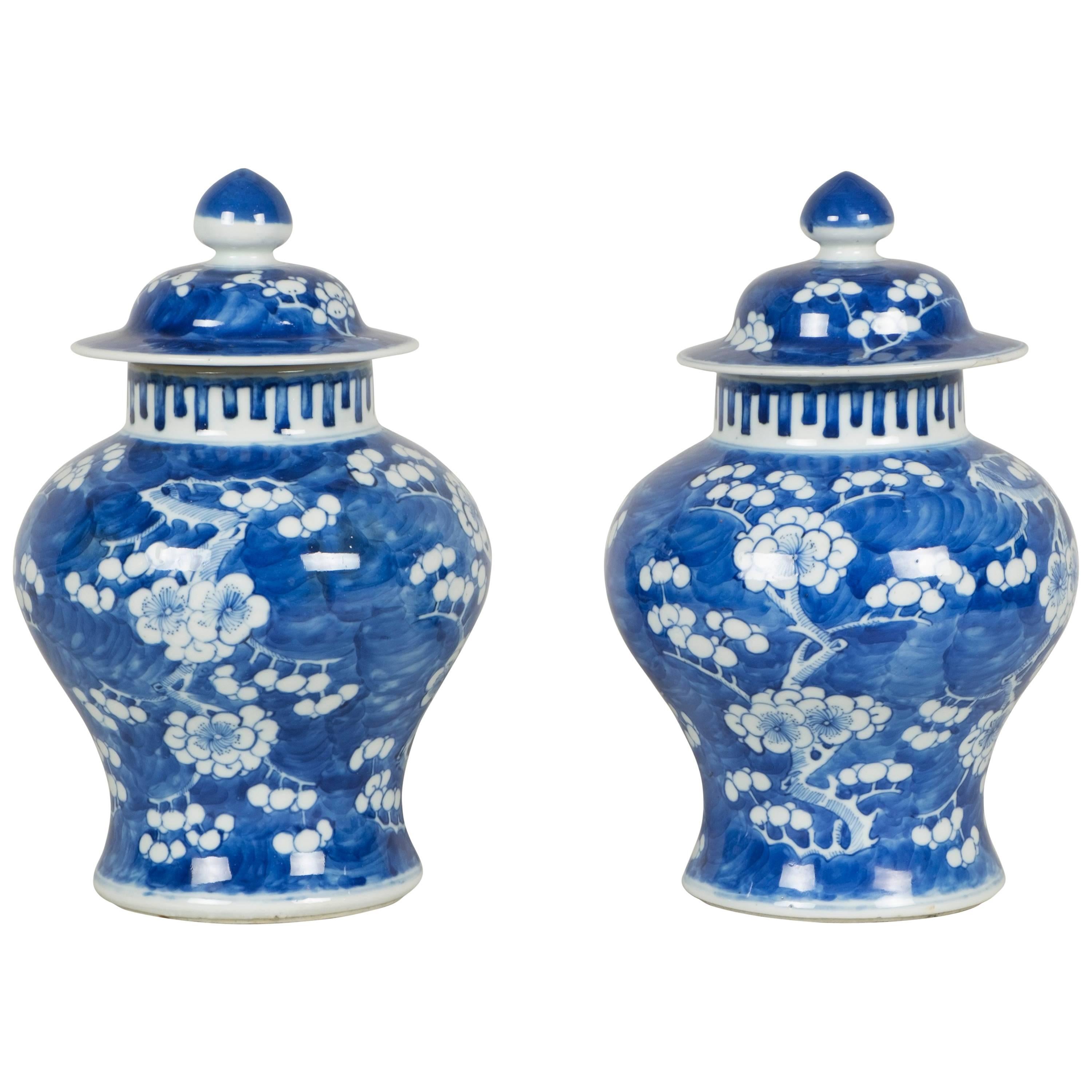 Pair of Kangxi Vases For Sale