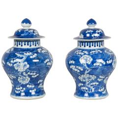 Pair of Kangxi Vases