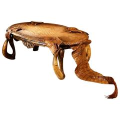 Cayman Coffee Table with Alligator Skin and Zebu Horns 4