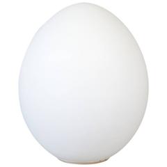 Large Frosted Glass Egg Lamp