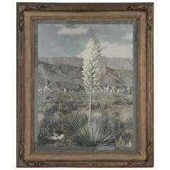 Antique 1920s Large-Scale Hand Tinted Photograph of the Desert and Yucca