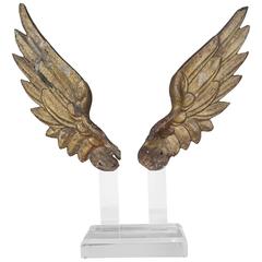 Pair of 19th Century Giltwood Wings on Lucite Base