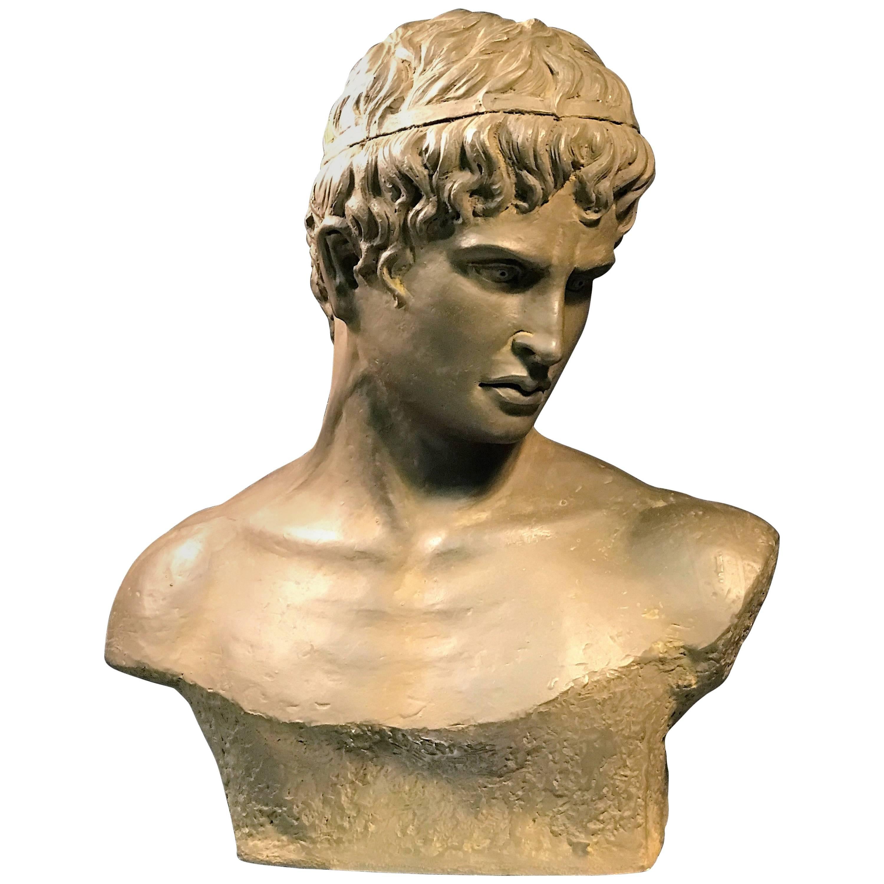 Handsome Italian Terracotta Roman Bust For Sale