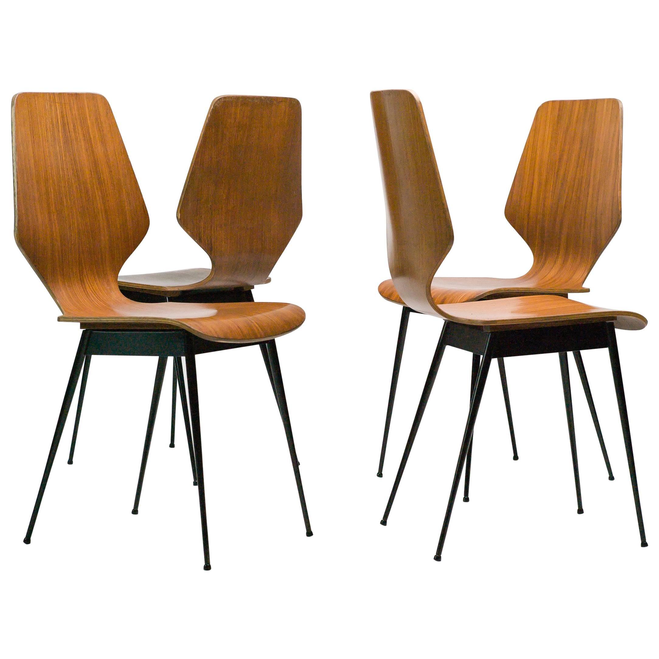 Elegant Italian Plywood Dining Chairs