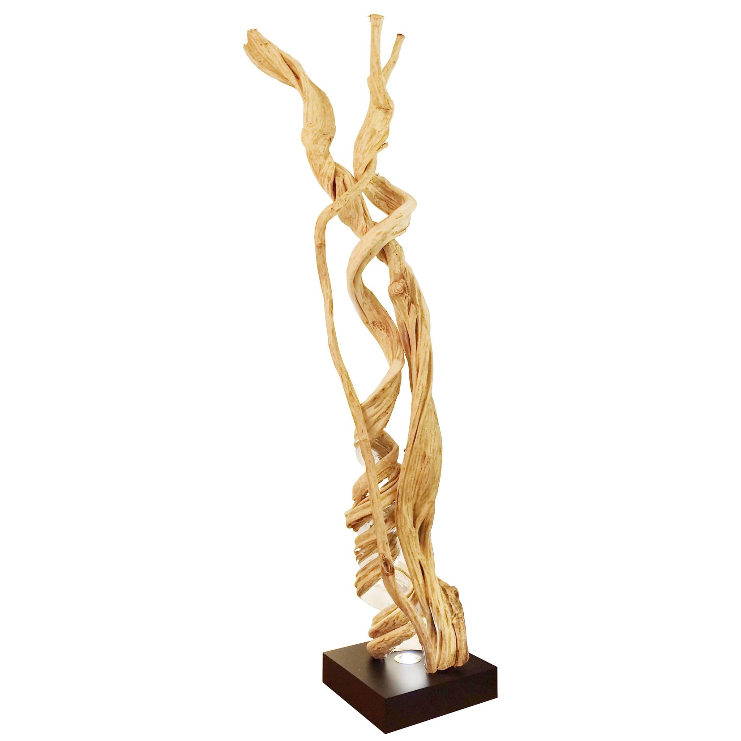 Liana Sculpture from Mangrove Swamp on Led Lighted Black Base