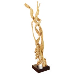 Liana Sculpture from Mangrove Swamp on Led Lighted Black Base