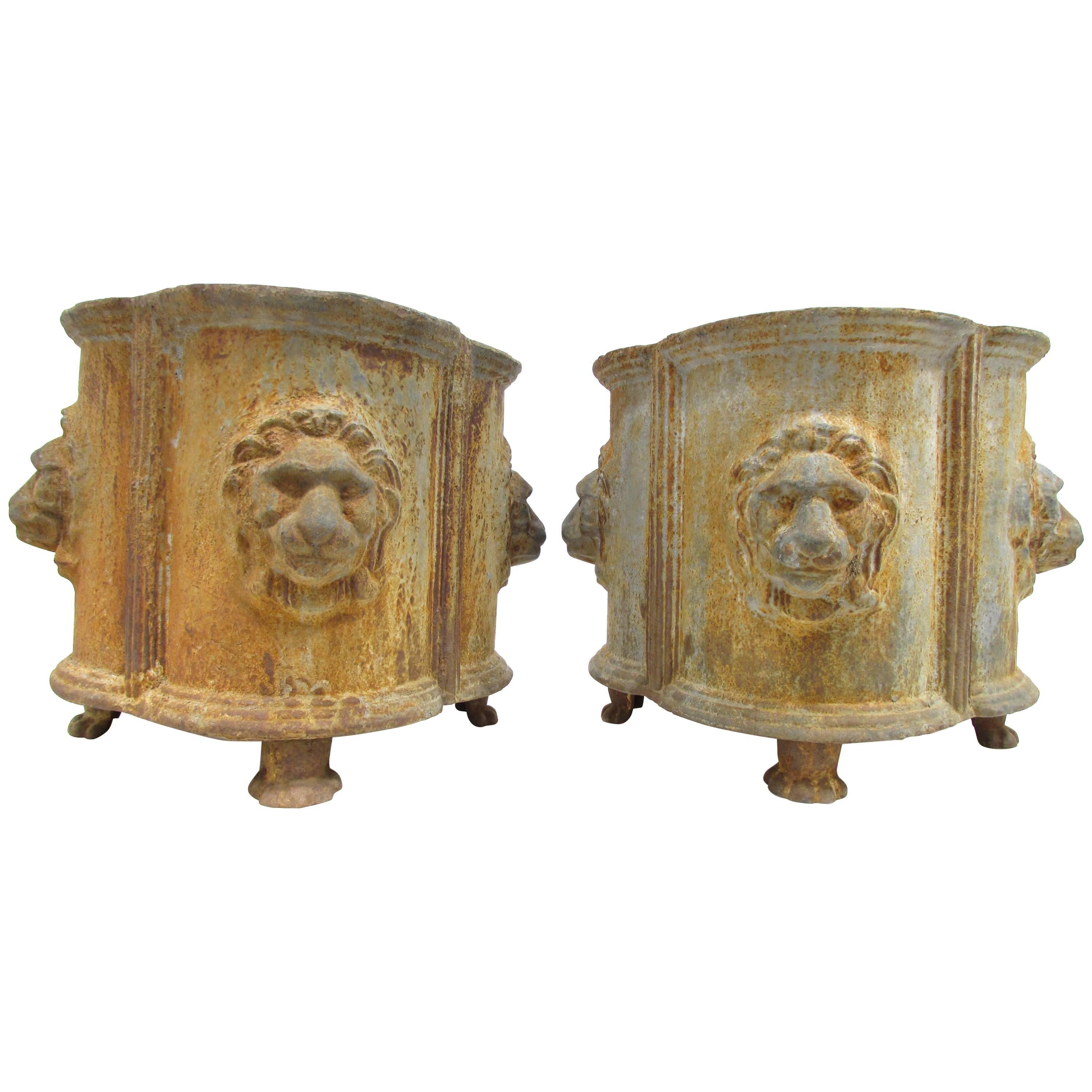 Pair Cast Iron Neoclassical Style Lion Mask Planters