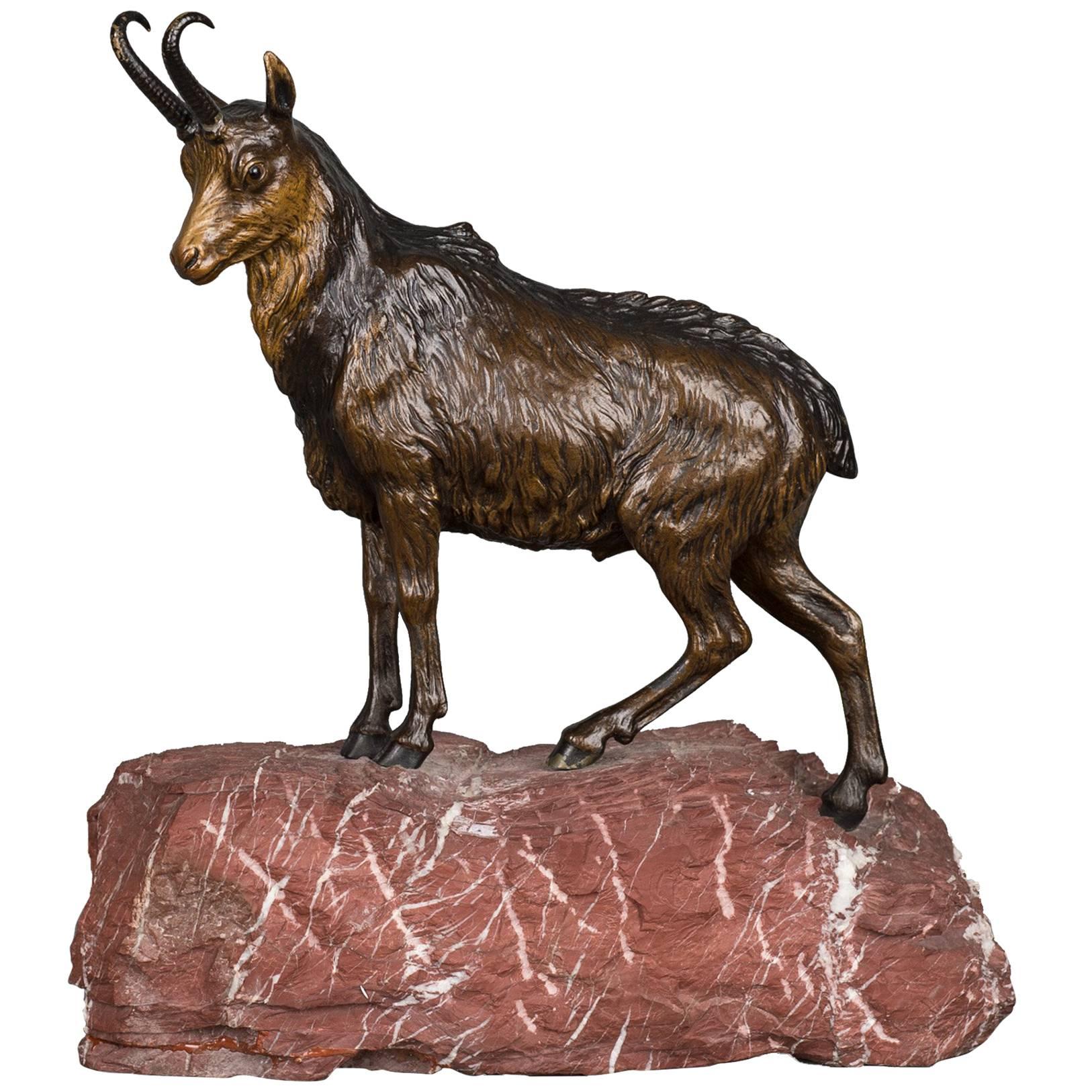 Very Realistic, Detailed Multicolored Vienna Bronze of Mountain Goat For Sale
