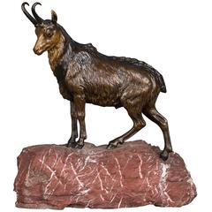 Very Realistic, Detailed Multicolored Vienna Bronze of Mountain Goat