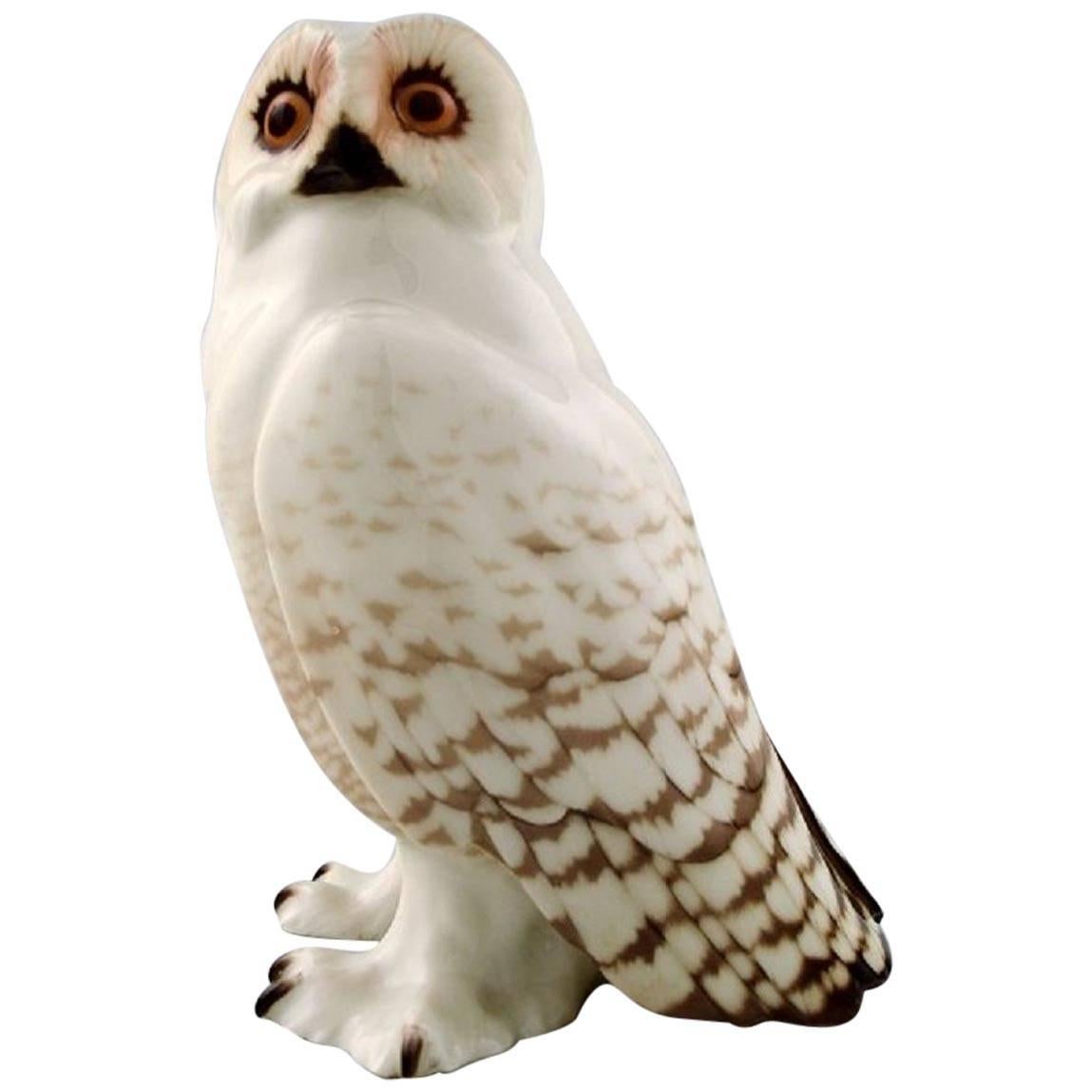 Rörstrand Porcelain Figure, Owl