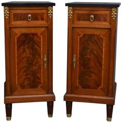 Pair of 19th Century Bedside Cabinets