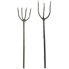 Pair of Rare 19th Century French Wooden Lavender / Pitch Forks 10