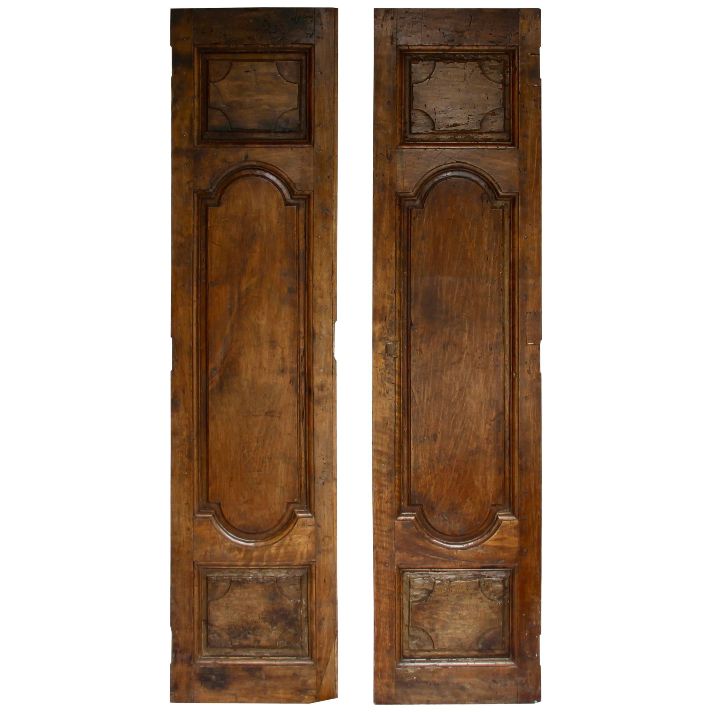 Pair of Louis XIV Walnut Doors