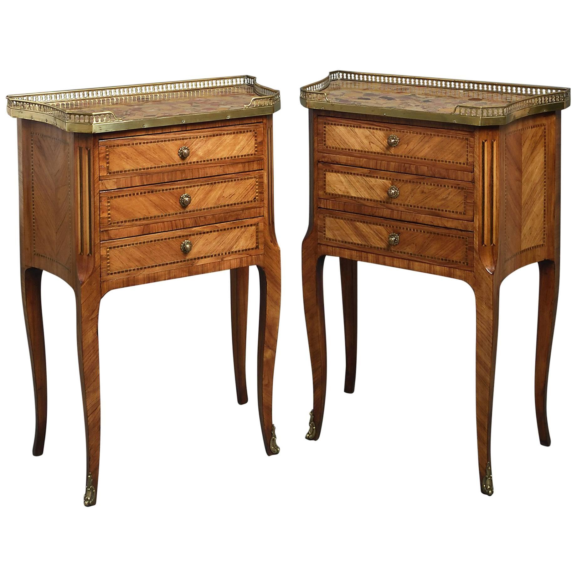 19th Century Pair of Louis XVI Style Bedside Cabinets