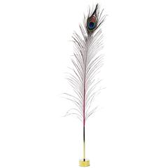 Magenta Peacock Pussy Pleaser Desk Accessory with Brass Base
