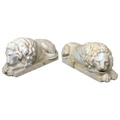 Jolie paire de grands lions couchés en marbre blanc du début du 20e siècle