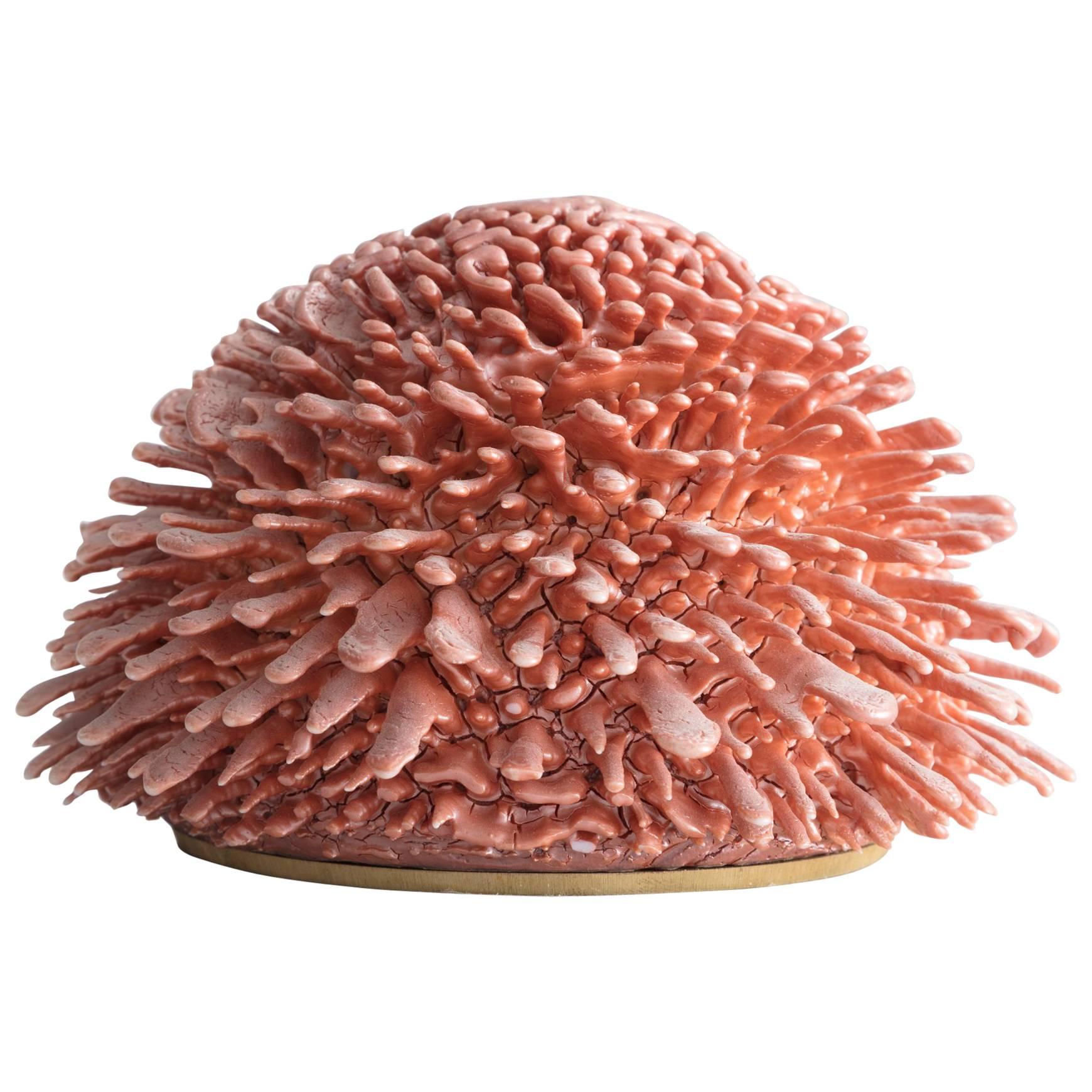 Unique, Hand-Thrown Urchin by The Haas Brothers, USA, 2017