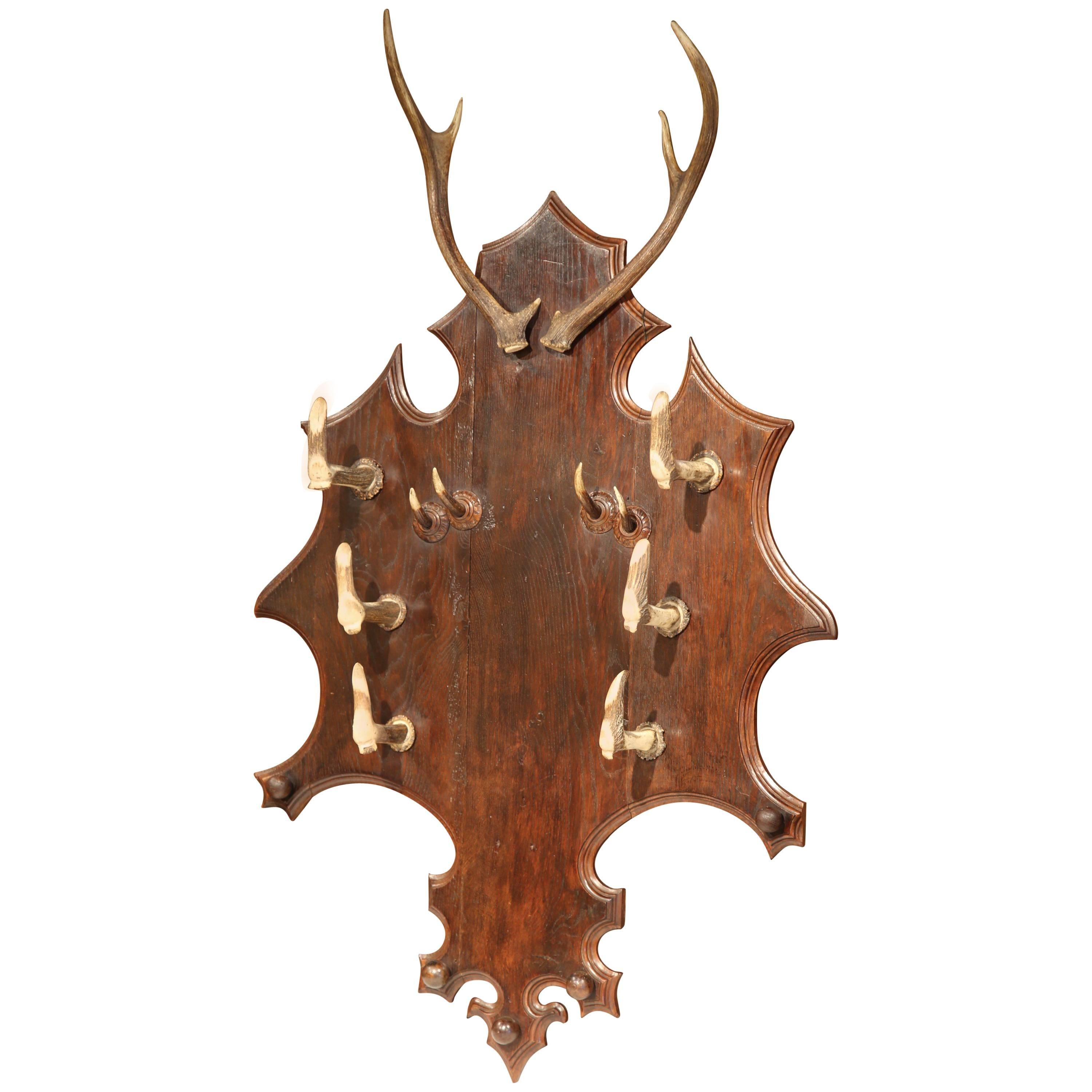 19th Century French Black Forest Carved Gun or Coat Rack with Antlers and Horns
