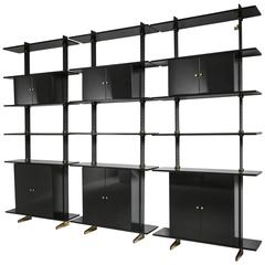 Large Ignazio Gardella Wall Mounted Storage System 11