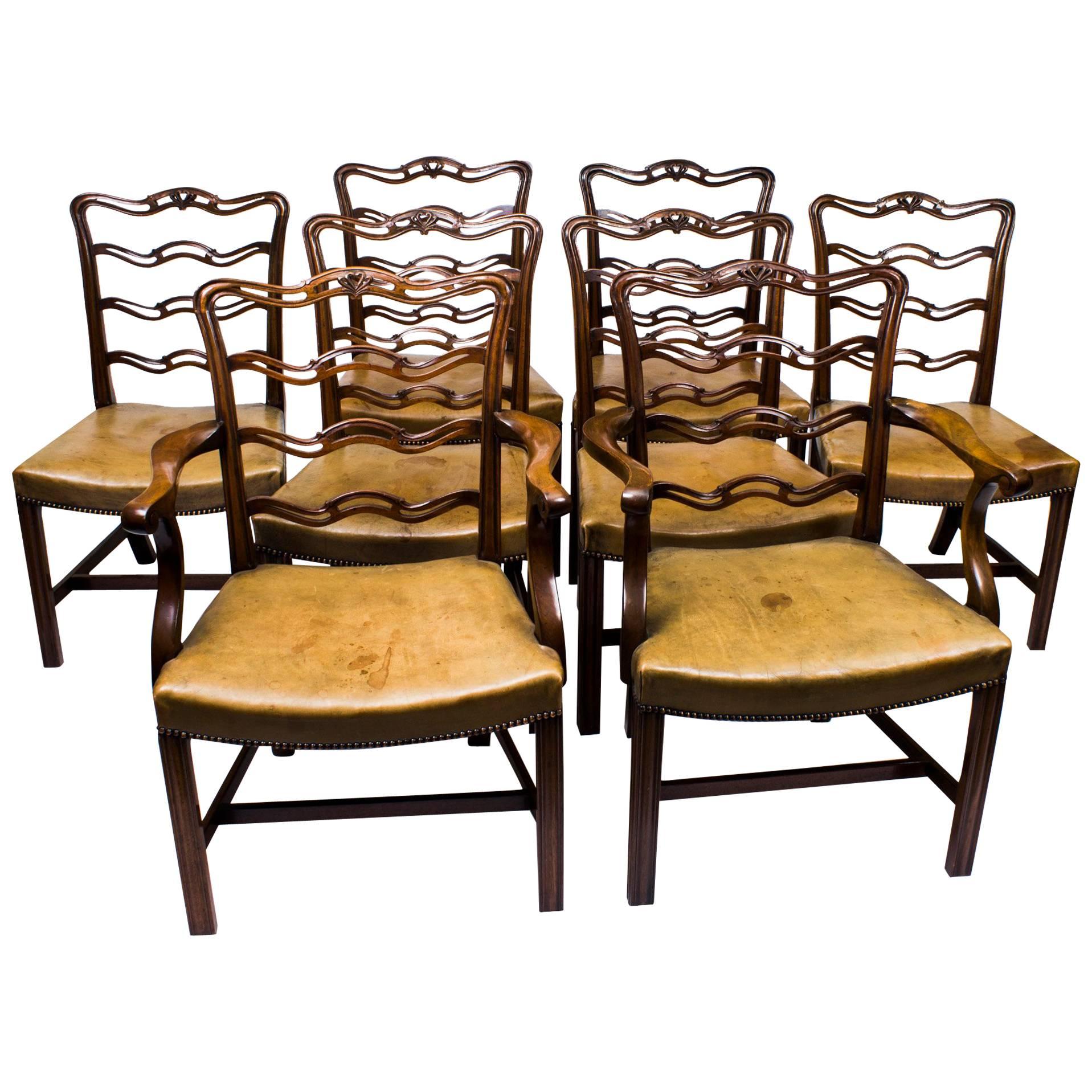 Early 20th Century Set of 8 Chippendale Ladderback Dining Chairs from Harrods