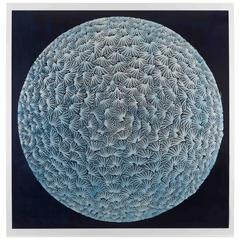 Contemporary Print 'Umbra Immortalis' by Rowan Mersh & Glithero, 2017