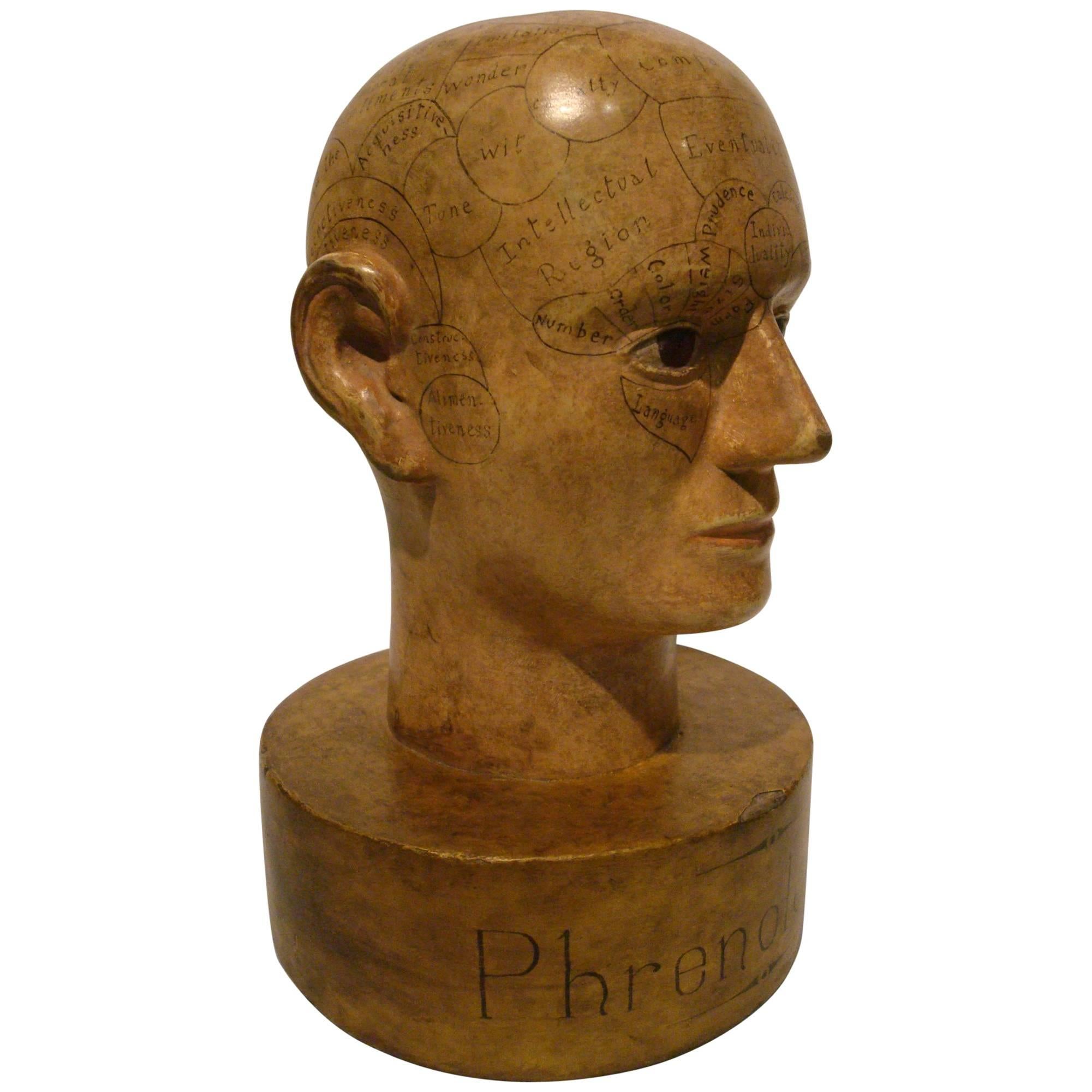 Wooden Phrenology Head Advertising Model Folk Art Americana