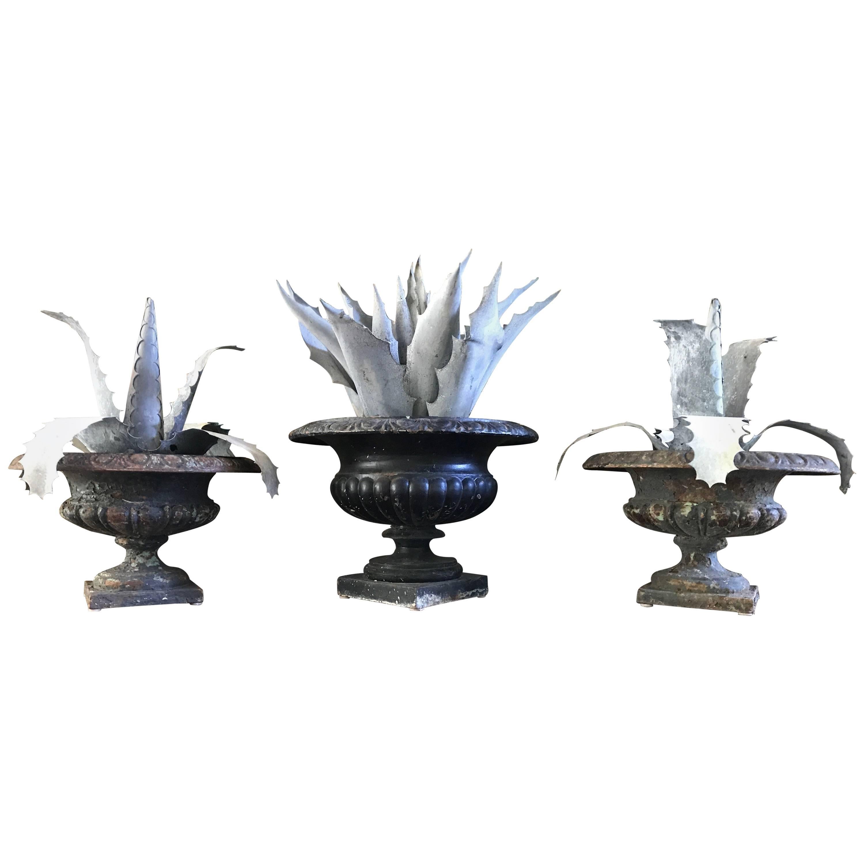 Three Late 1800s Antique French Zinc Aloes For Sale at 1stDibs