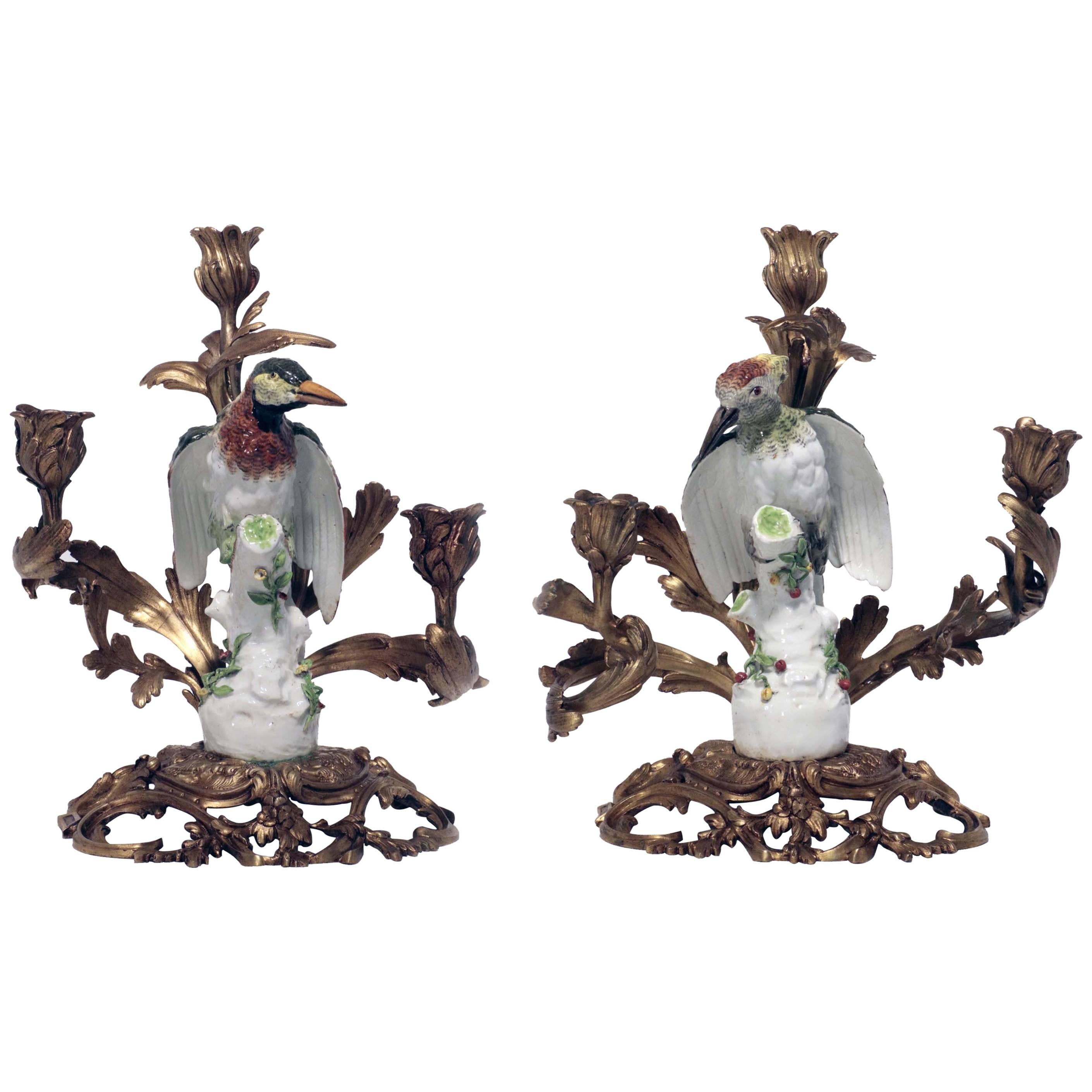 Pair of Antique Meissen Porcelain Woodpeckers, Now Mounted as Candelabra