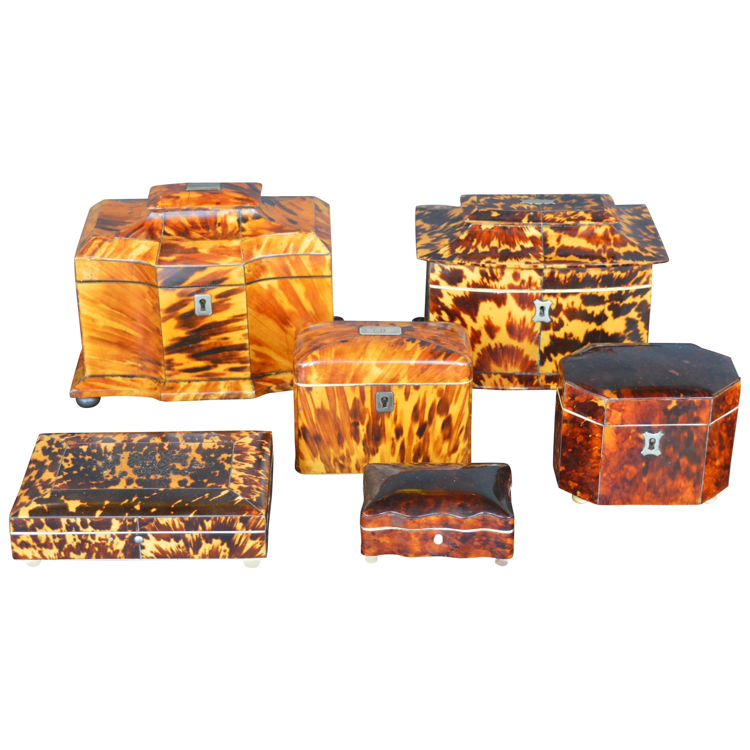 Collection of Six 19th Century Tortoise Shell Boxes