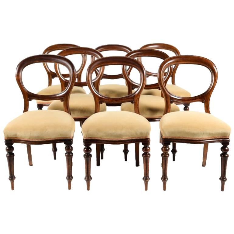 Antique Victorian Balloon Back Mahogany Dining Chairs, Set of Eight, 19th Century