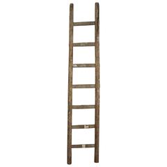 Antique Rustic French Ladder