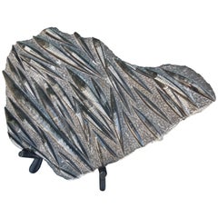 Large Grey and Black Orthoceras Fossil Sculpture on Stand