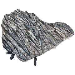 Large Grey and Black Orthoceras Fossil Sculpture on Stand 8