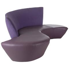 Mid-Century Modern Curved Serpentine Sofa by Vladimir Kagan in Leather and Suede 8