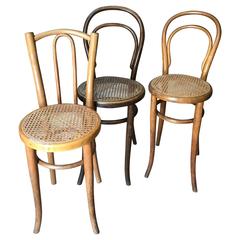 Thonet Collection of Three "Chaises de Dames" "Ladies Chairs", circa 1900