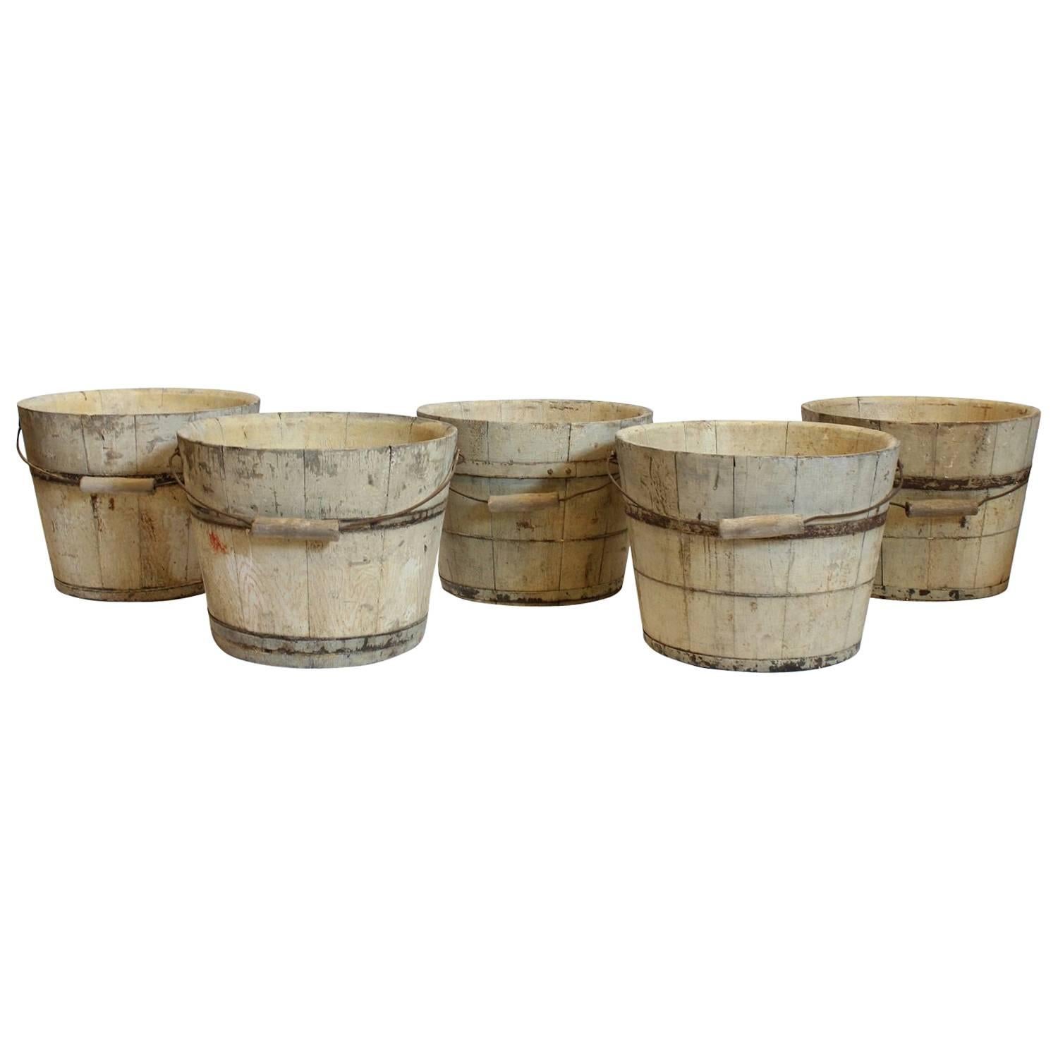 Collection of 1920s American Maple Syrup Wood Buckets For Sale
