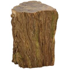 Fossilised Wooden Stump Table