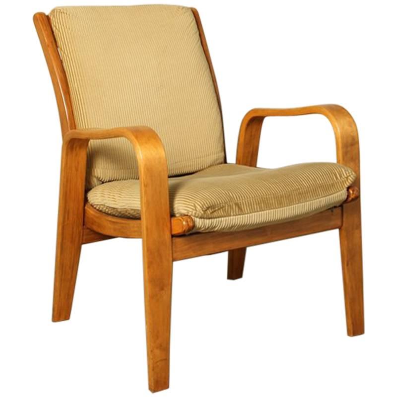 Cees Braakman Pastoe FB06 Armchair For Sale