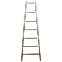 English Orchard Ladder