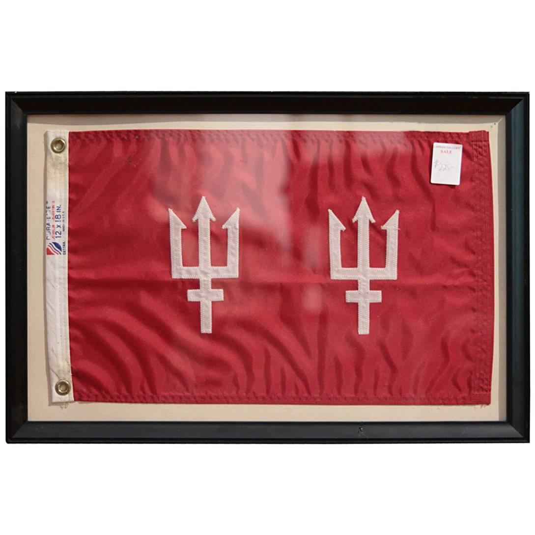 Framed Flag of Two Tridents