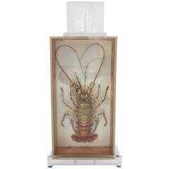 Tiger Lobster Taxidermy Encased in Box, Mounted on Custom Lucite Easel 6