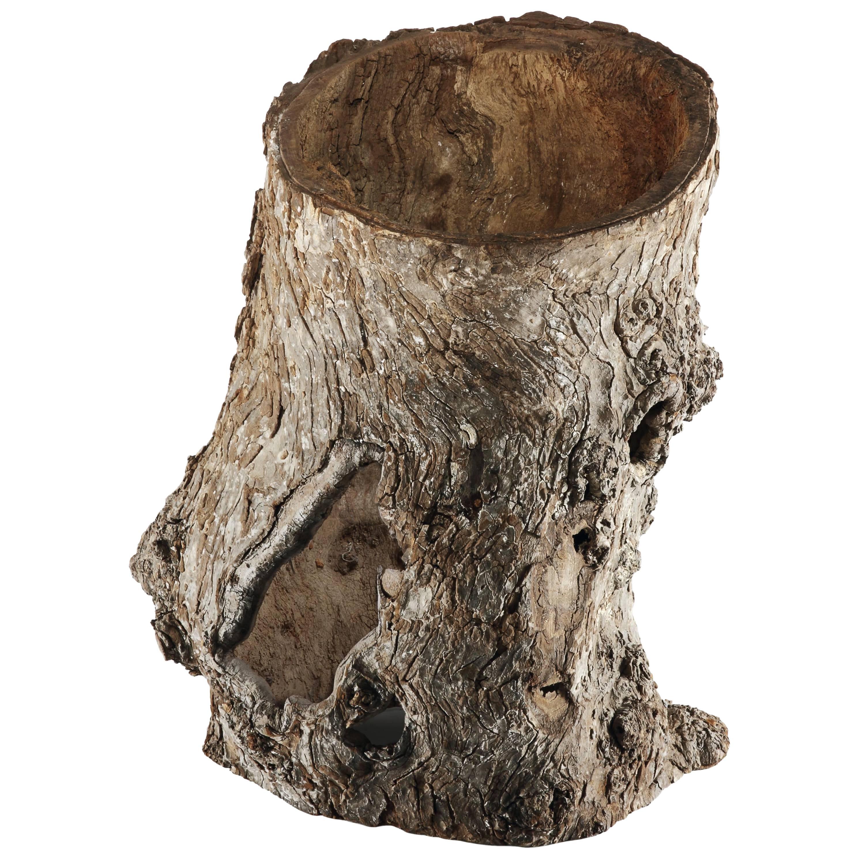 Hollowed Out Tree Trunk For Sale