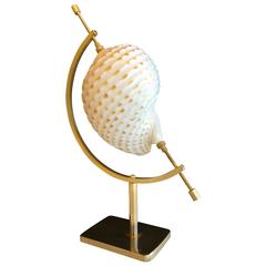 Ivory and Copper Conch Shell Displayed on Adjustable Crescent Brass Stand