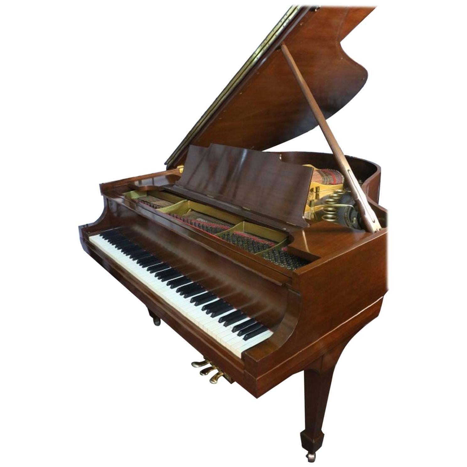 Steinway M 5
7" Mahogany 1929 "Golden Age" Rebuilt/Restored